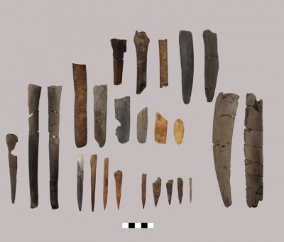 Figure 6. Bone tools.